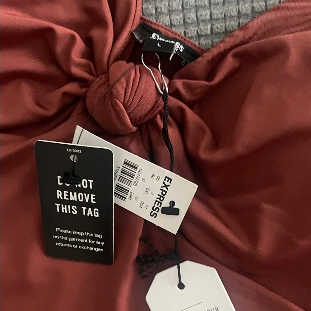 Express Rust Bodysuit - Picture 3 of 4